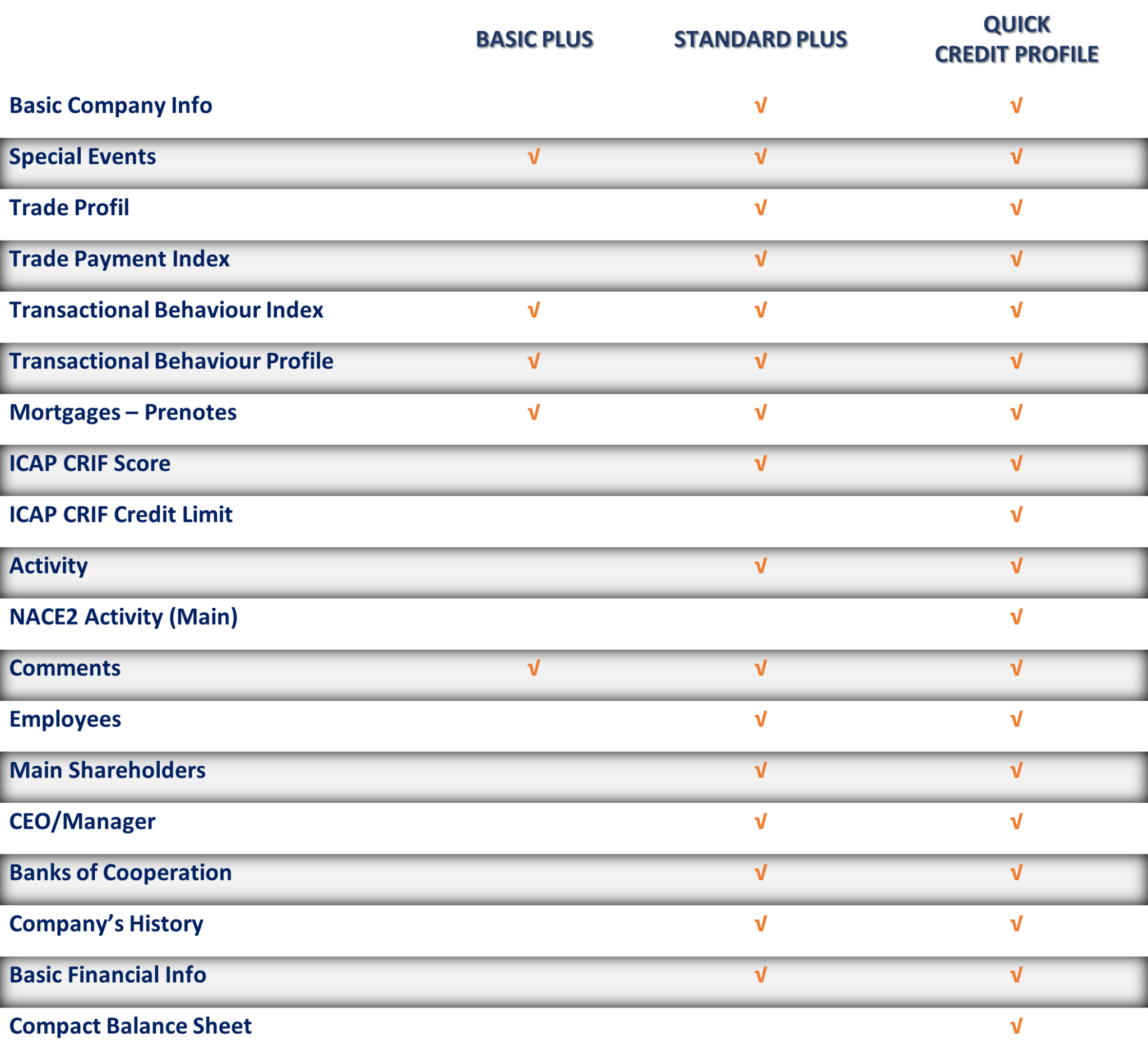 Business Information Services Job Description